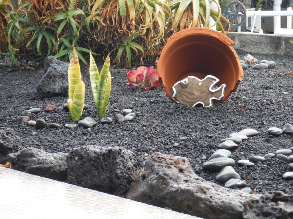 プラヤ・ブランカ Casa Aguamarina 23Bヴィラ エクステリア 写真